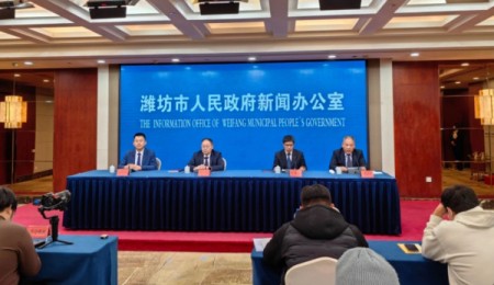 濰坊市人民政府新聞辦公室召開(kāi)翰墨青州·2023書(shū)畫(huà)藝術(shù)節新聞發(fā)布會(huì )